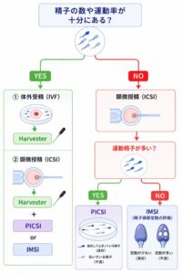 【先進医療】不妊治療の精子選別とは? 当院で行うPICSI・IMSI・Harvesterを比較解説💡のアイキャッチ画像