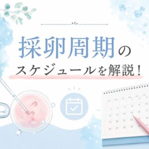 採卵周期のスケジュールを解説します。のアイキャッチ画像