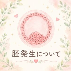 胚培養士がみている「胚発生」とは？のアイキャッチ画像