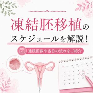凍結胚移植のスケジュールを解説！通院回数や当日の流れをご紹介のアイキャッチ画像