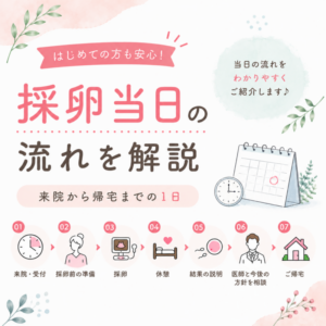 採卵当日の流れ|来院から帰宅まで、看護師がご紹介しますのアイキャッチ画像
