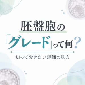 胚盤胞の「グレード」って何?知っておきたい評価の見方のアイキャッチ画像
