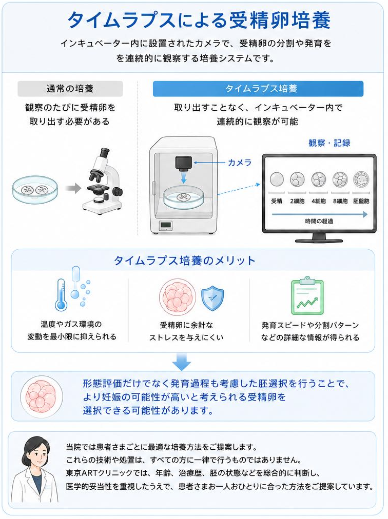 タイムラプスによる受精卵培養