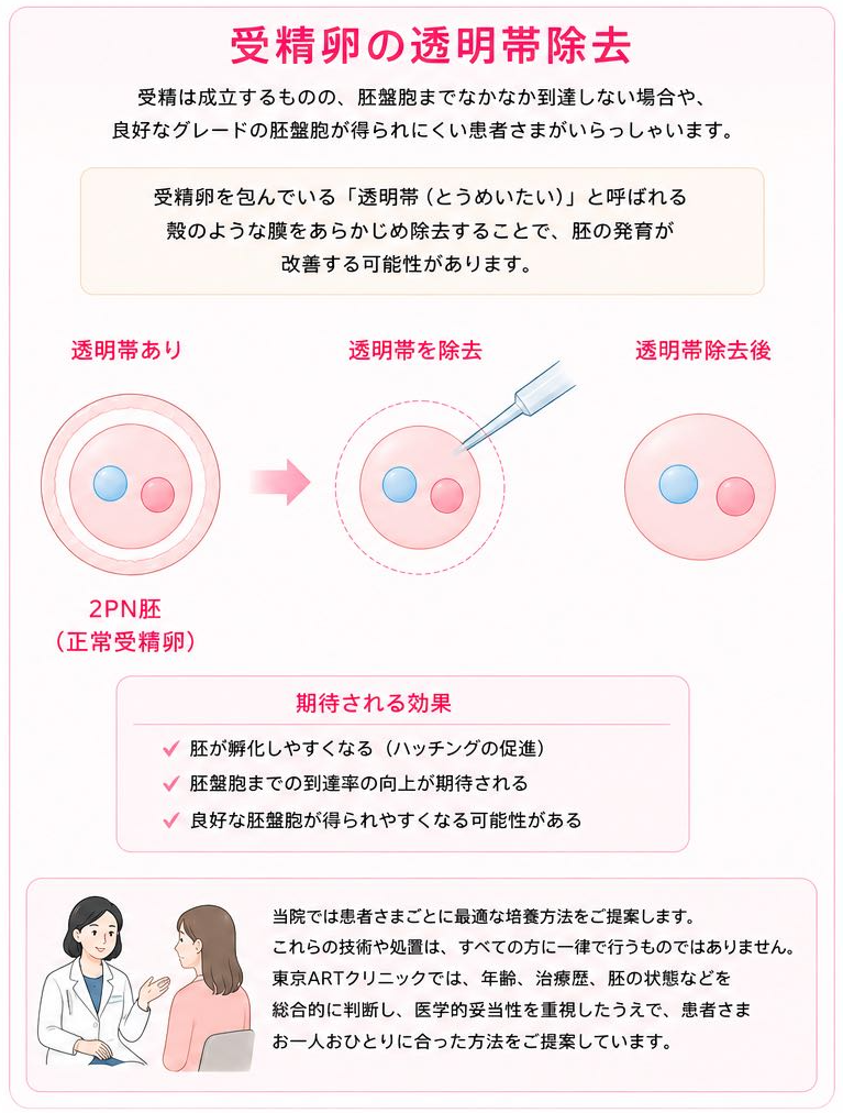 受精卵の透明帯除去