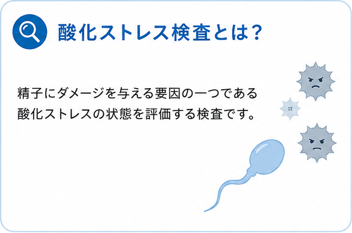 精子の酸化ストレス検査について