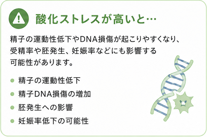 精子の酸化ストレス検査について